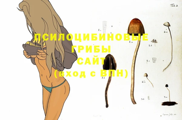 экстази Аркадак