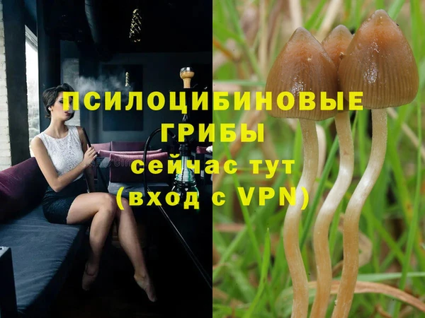 дурь Армянск