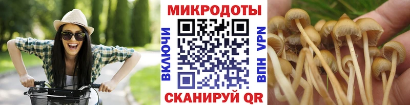 Галлюциногенные грибы Cubensis закладки Новомосковск