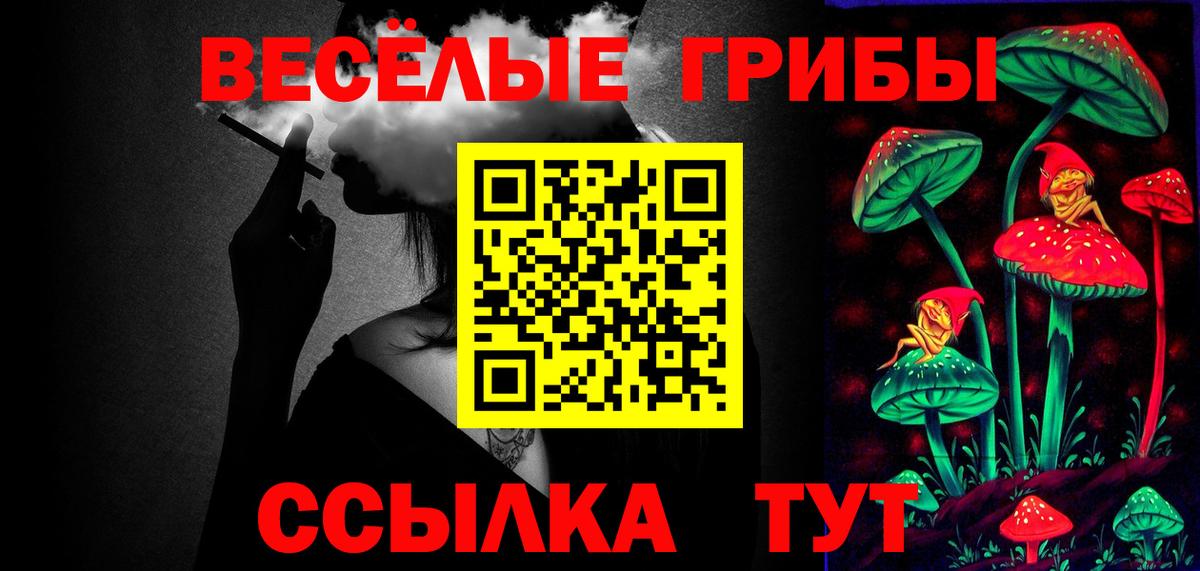 Новомосковск  Псилоцибиновые грибы прущие грибы  Вход с VPN 